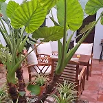 招待所 格兰开皮坦旅馆 *